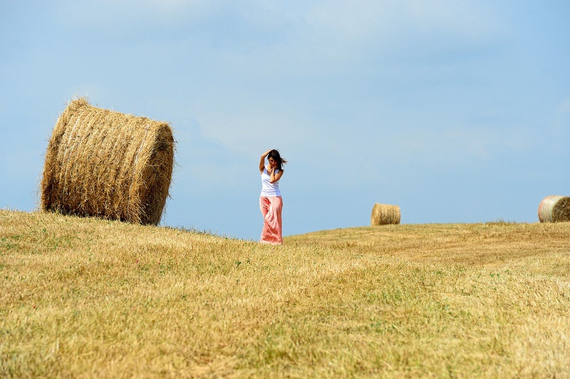 gold in the air of summer by gorazd kogoj
