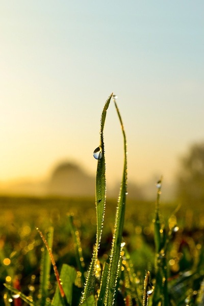 Morning freshnes by matejD3100