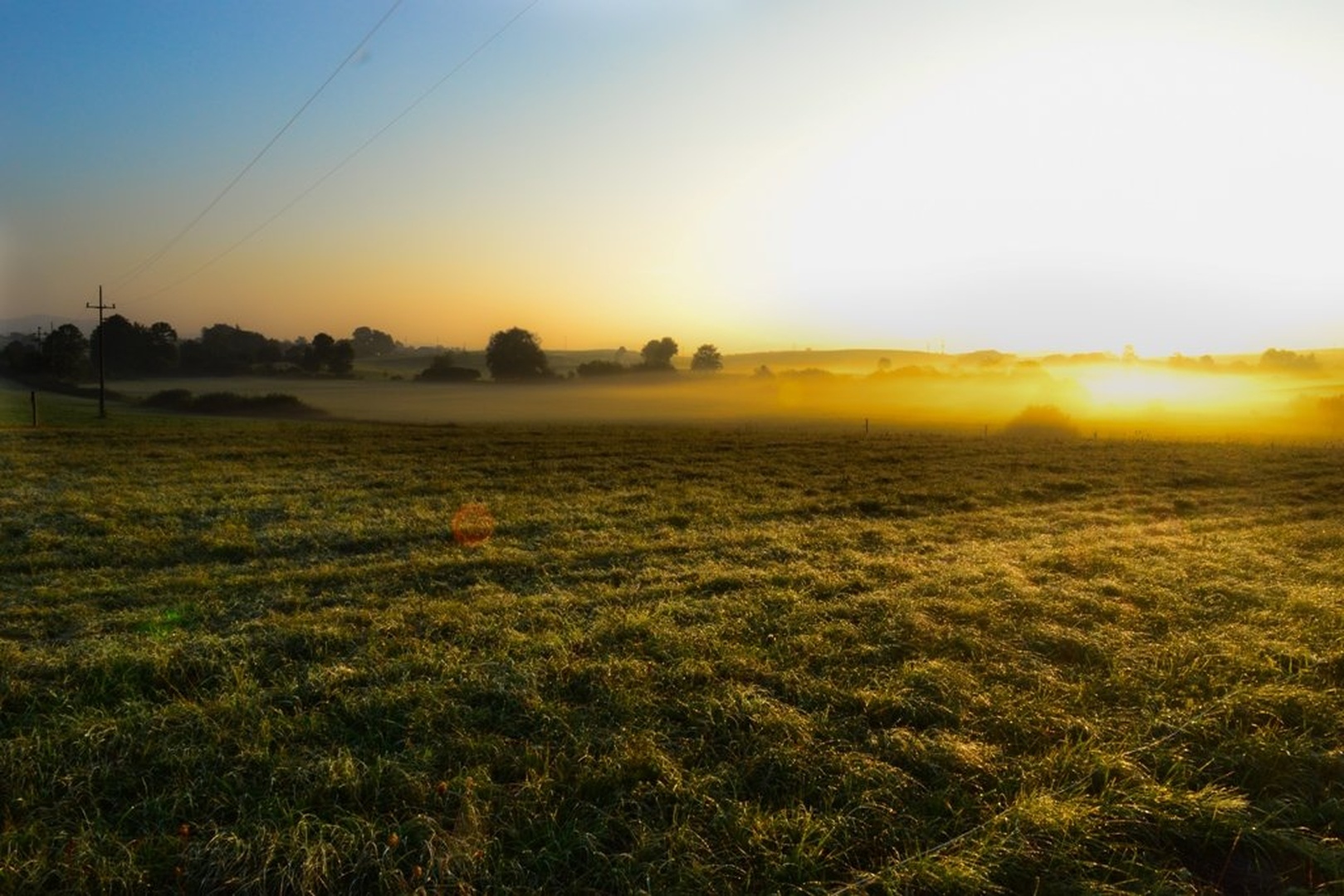 Dobro jutro by