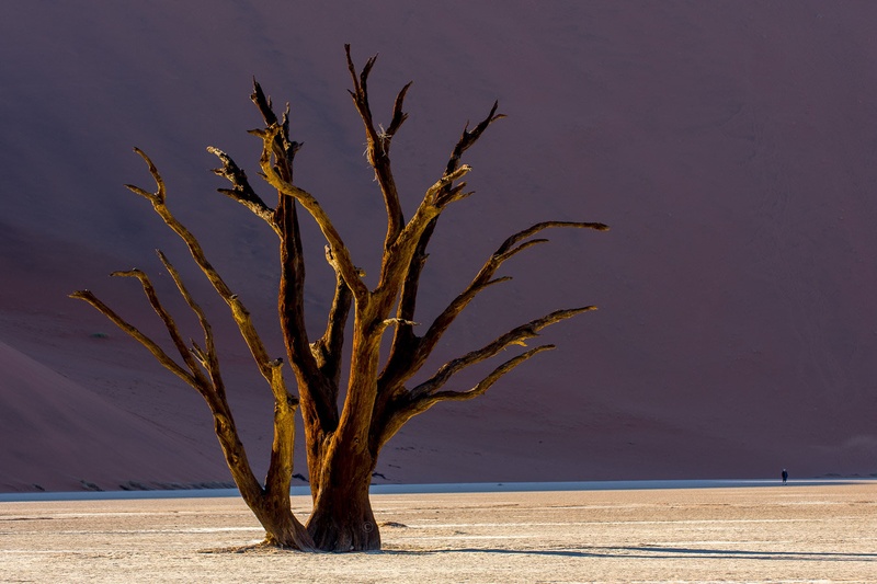 Dead V.... by Gorazd Golob