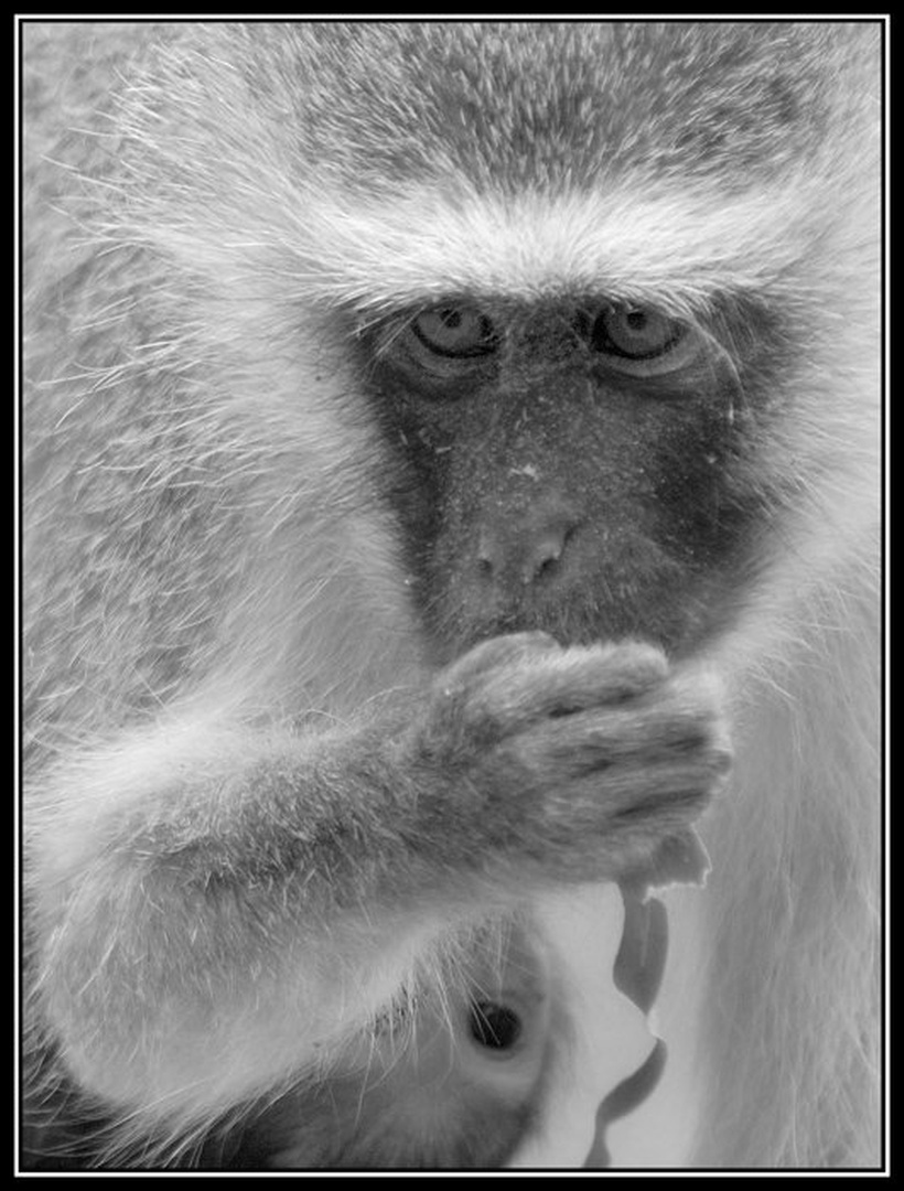 snack by Gorazd Golob