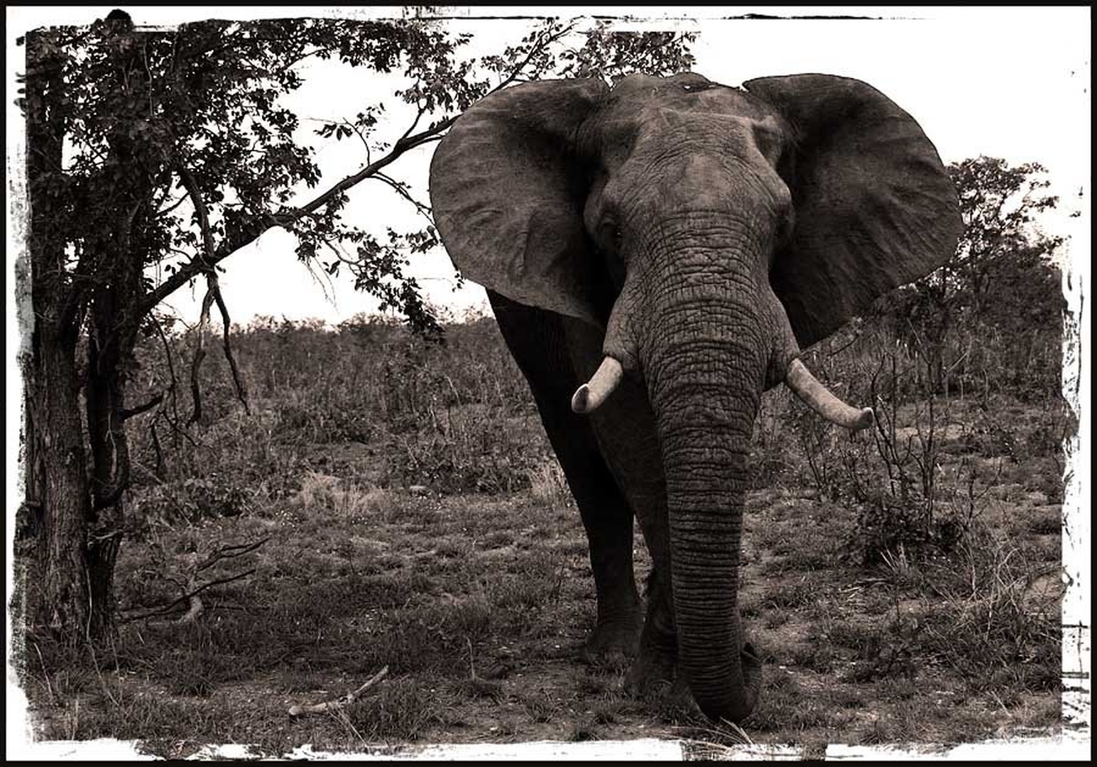 avtoriteta by Gorazd Golob