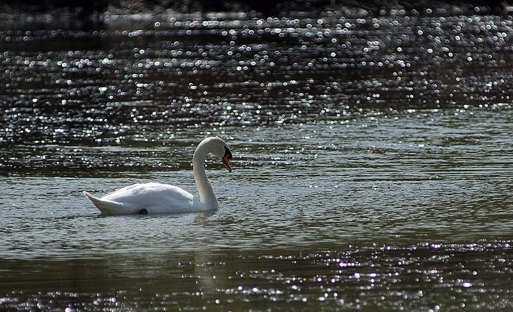 Na poti by Gorazd Golob