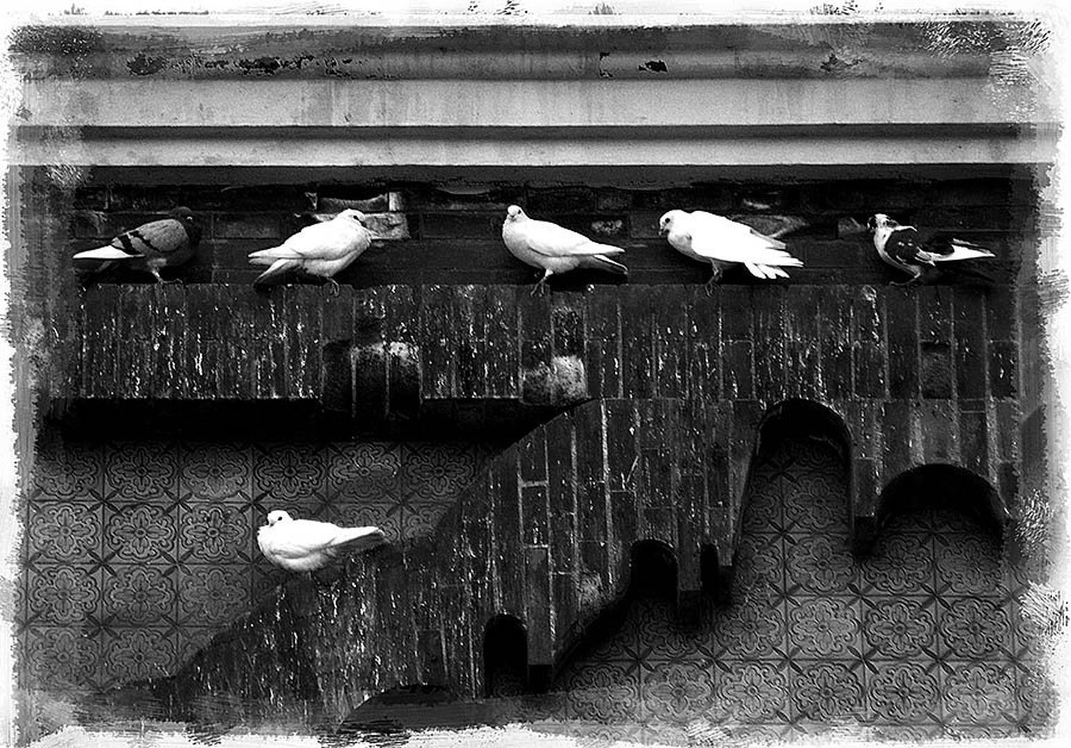 na liniji by Gorazd Golob