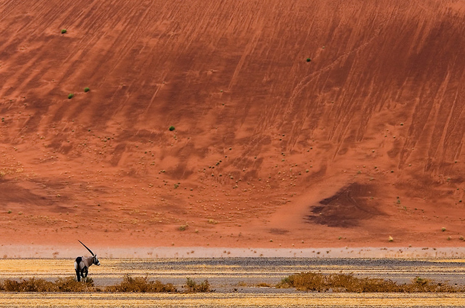 Kam? by Gorazd Golob