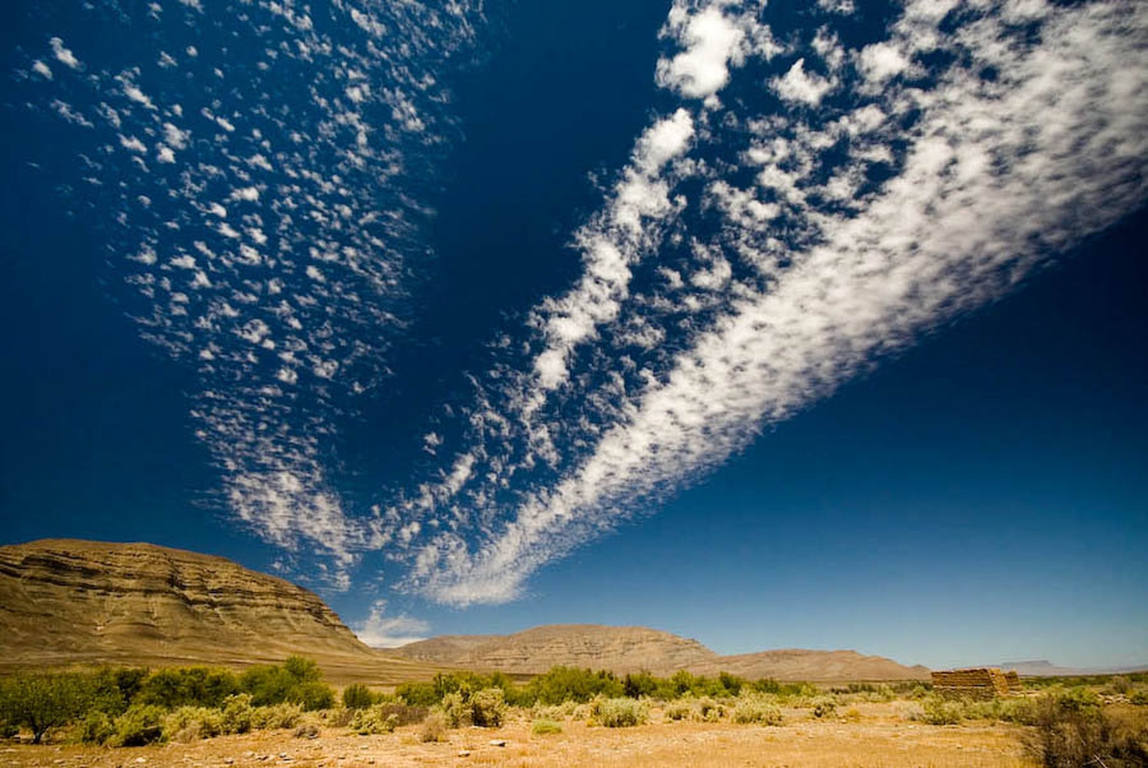 Tankwa Karoo by Gorazd Golob