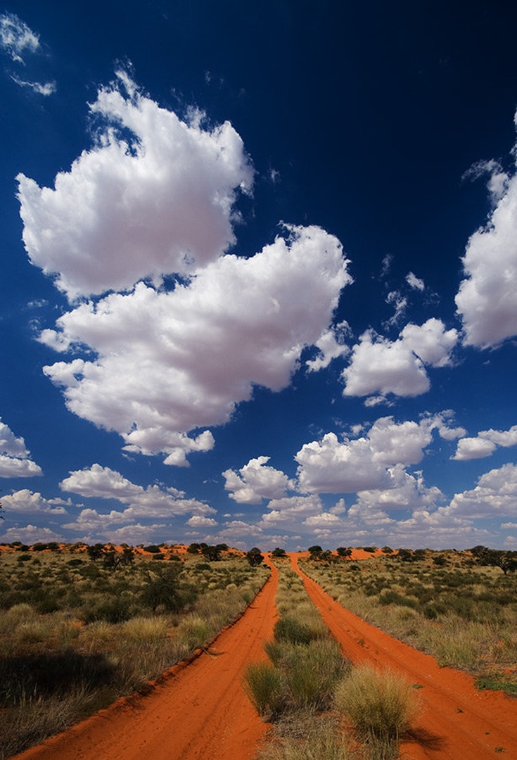 Kalahari by Gorazd Golob
