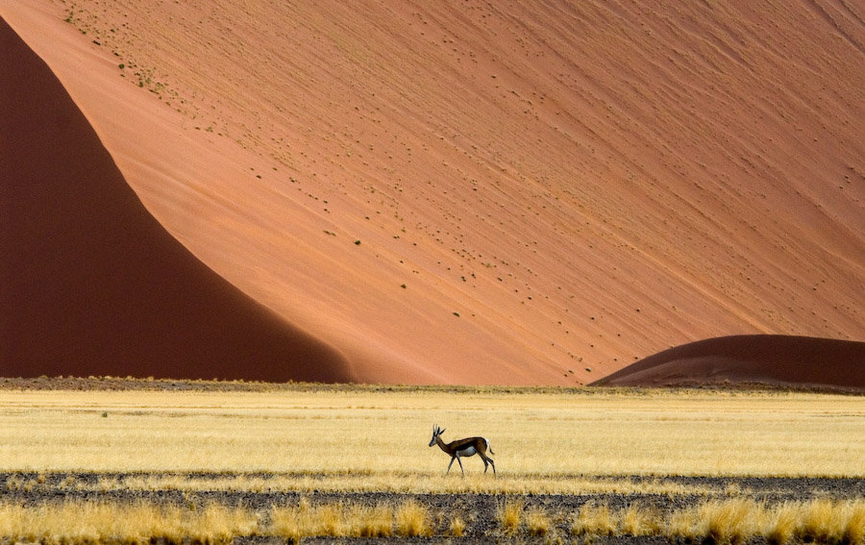 Sprehod by Gorazd Golob