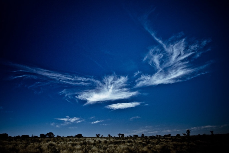 Kalahari xy by Gorazd Golob