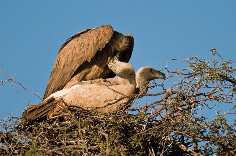 Love is in the air by Gorazd Golob