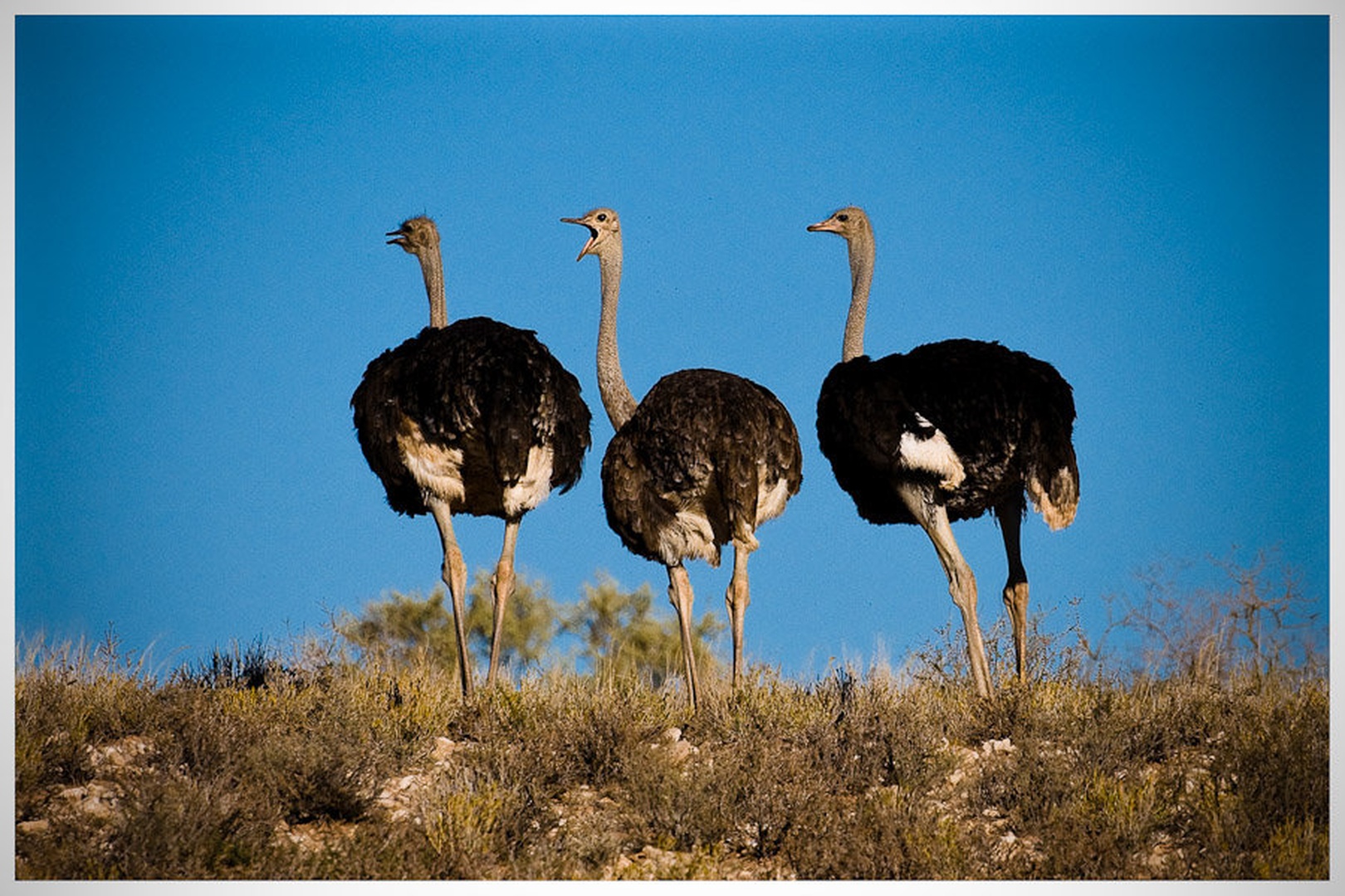 Small talk by Gorazd Golob