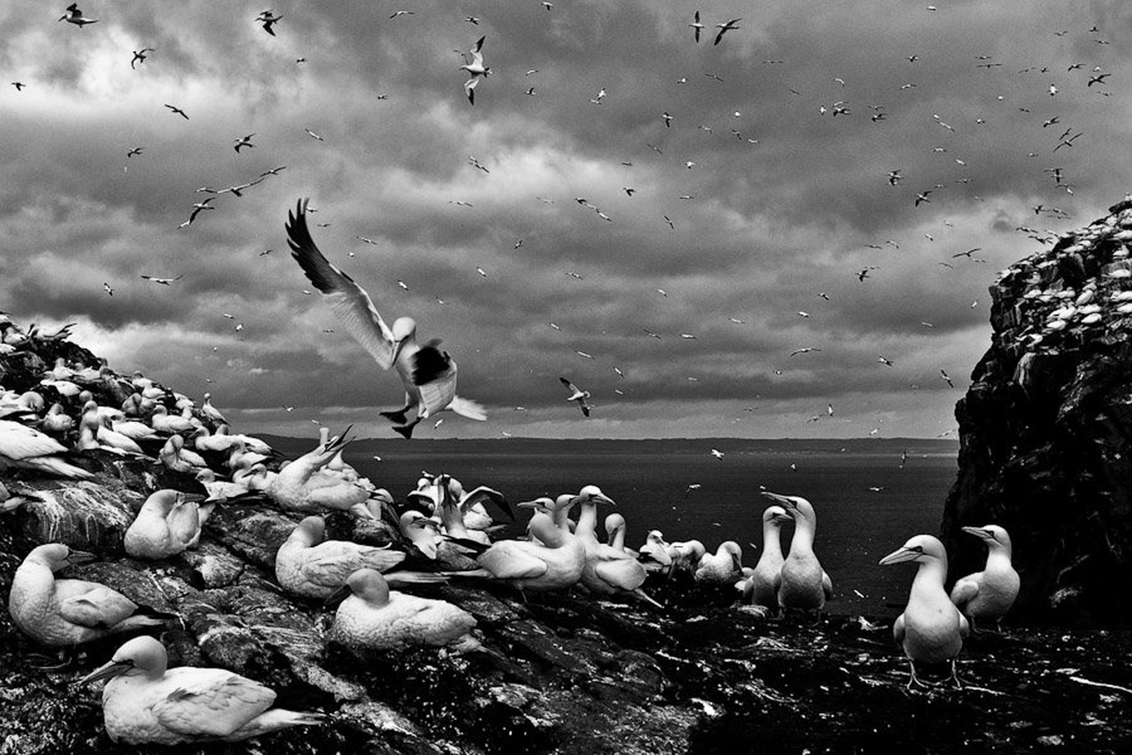 Nebo nad Bassrockom by Gorazd Golob