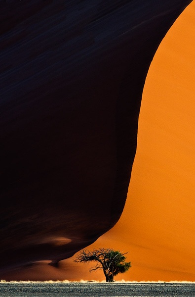 II. by Gorazd Golob