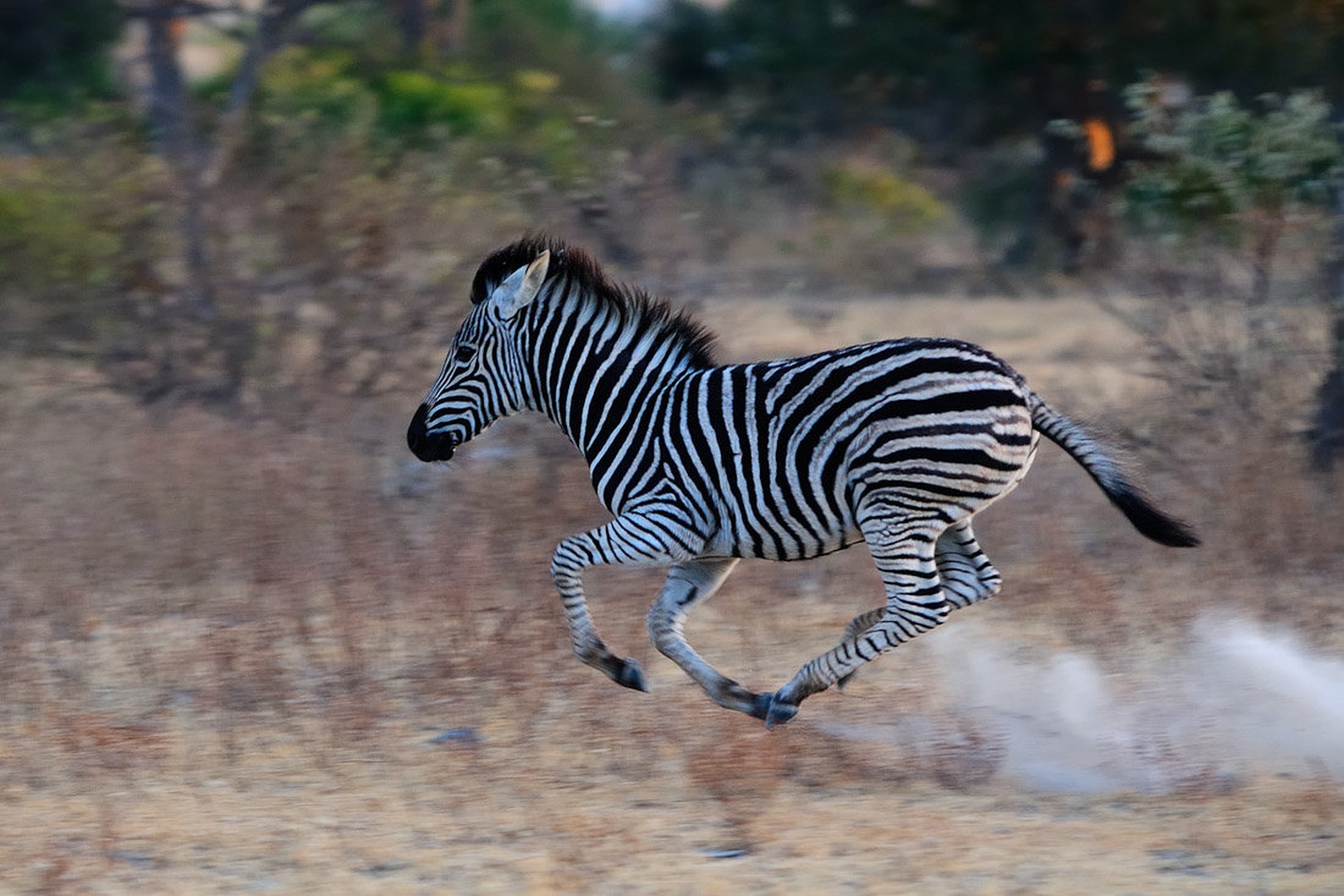 Turbo on by Gorazd Golob