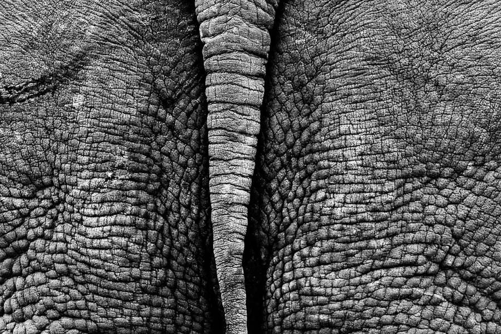 RIT by Gorazd Golob