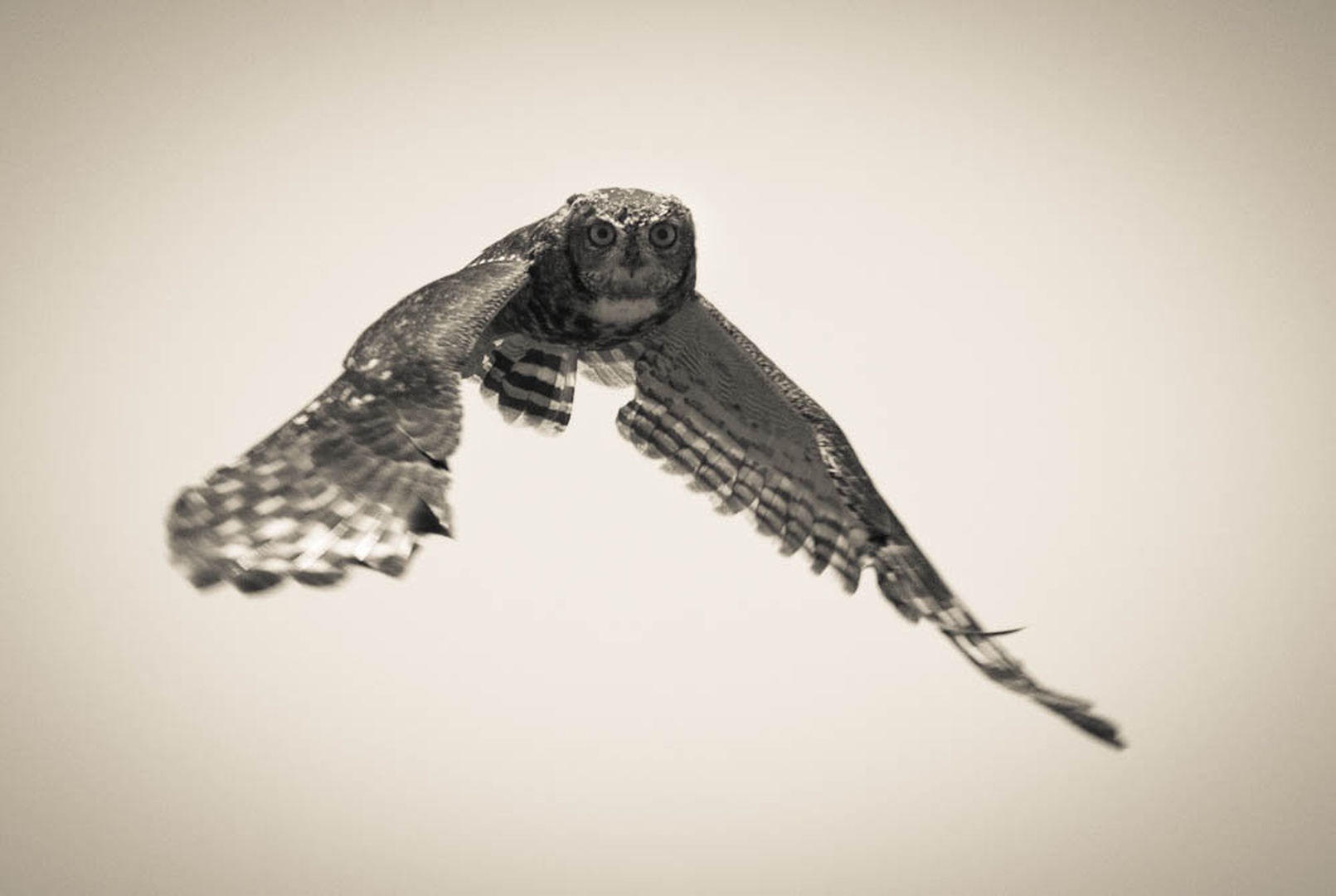 Prelet by Gorazd Golob