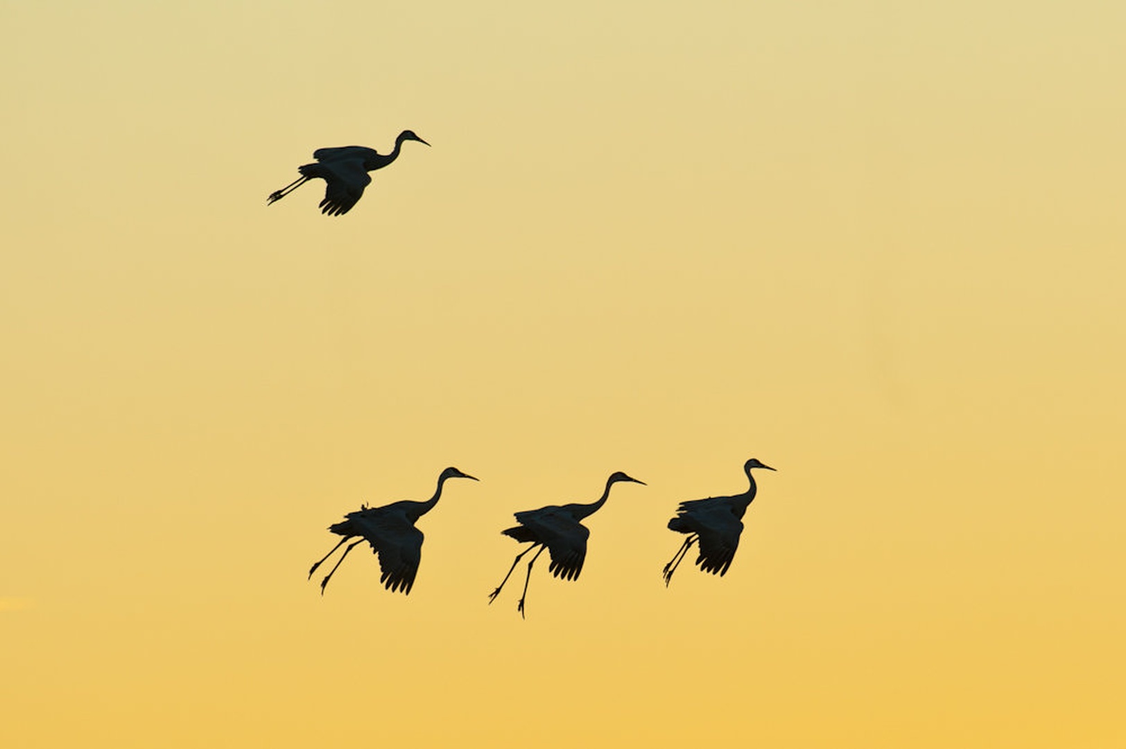 1 + 3 by Gorazd Golob