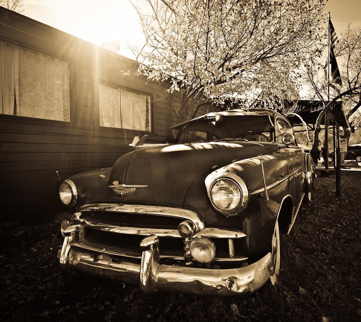 Arizona dream 2 by Gorazd Golob