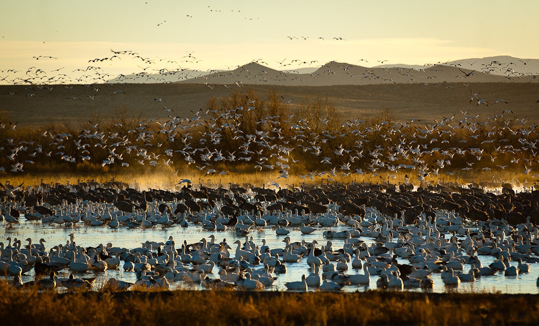 Party by Gorazd Golob