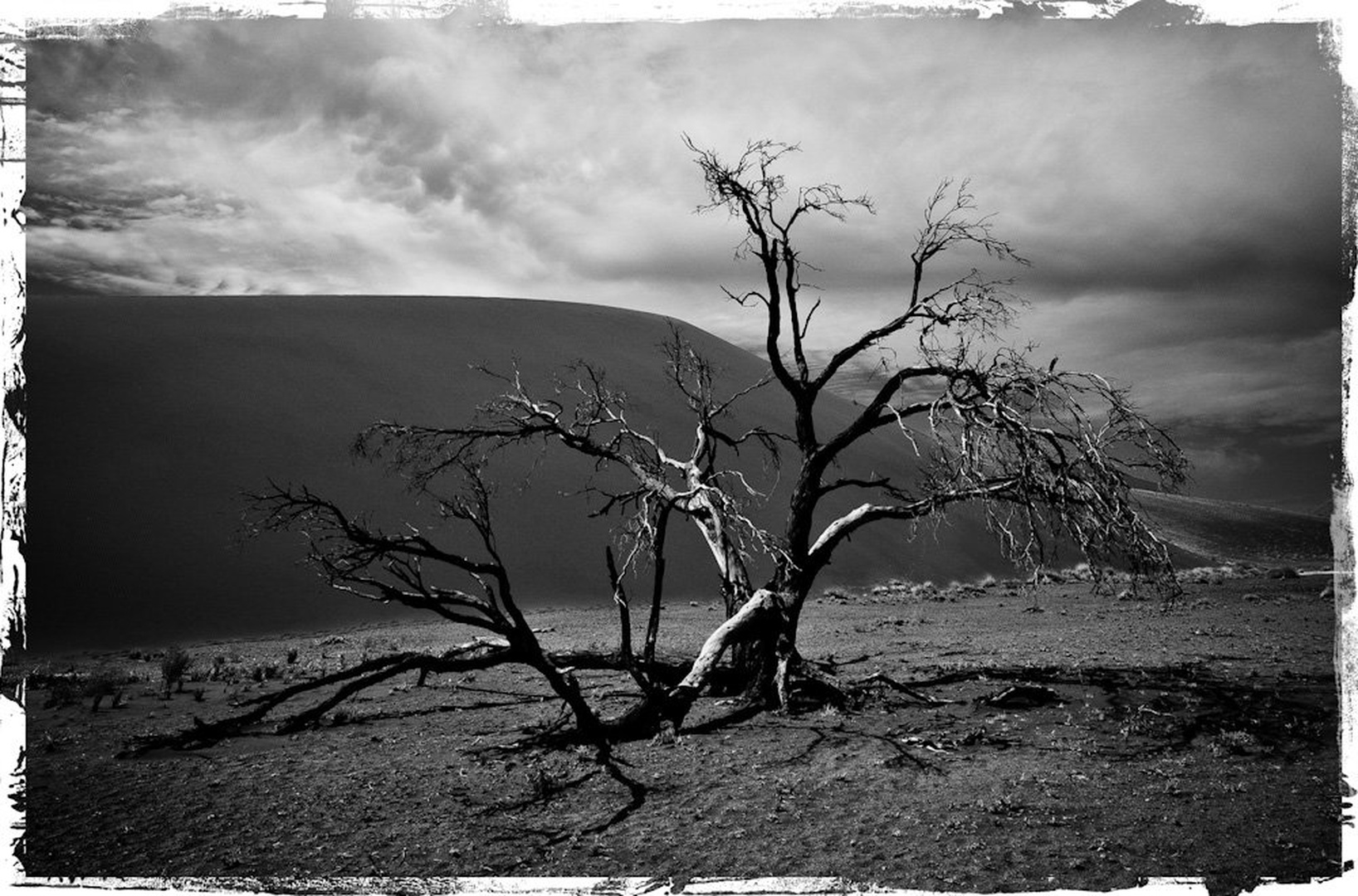 ... by Gorazd Golob