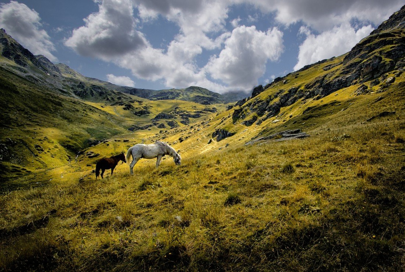 Who's gonna ride your wild horses? by Klempa