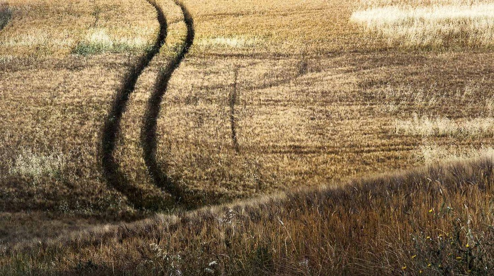 Polje, smer navzgor! by Klempa