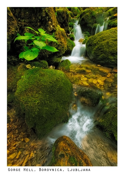 Pekel, Borovnica by Klempa