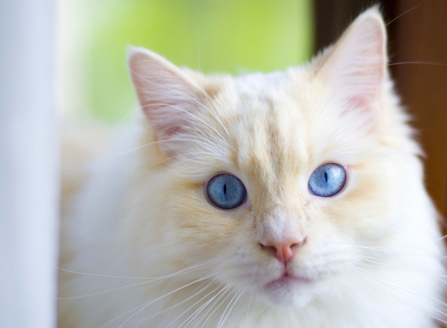 iSee by Črt