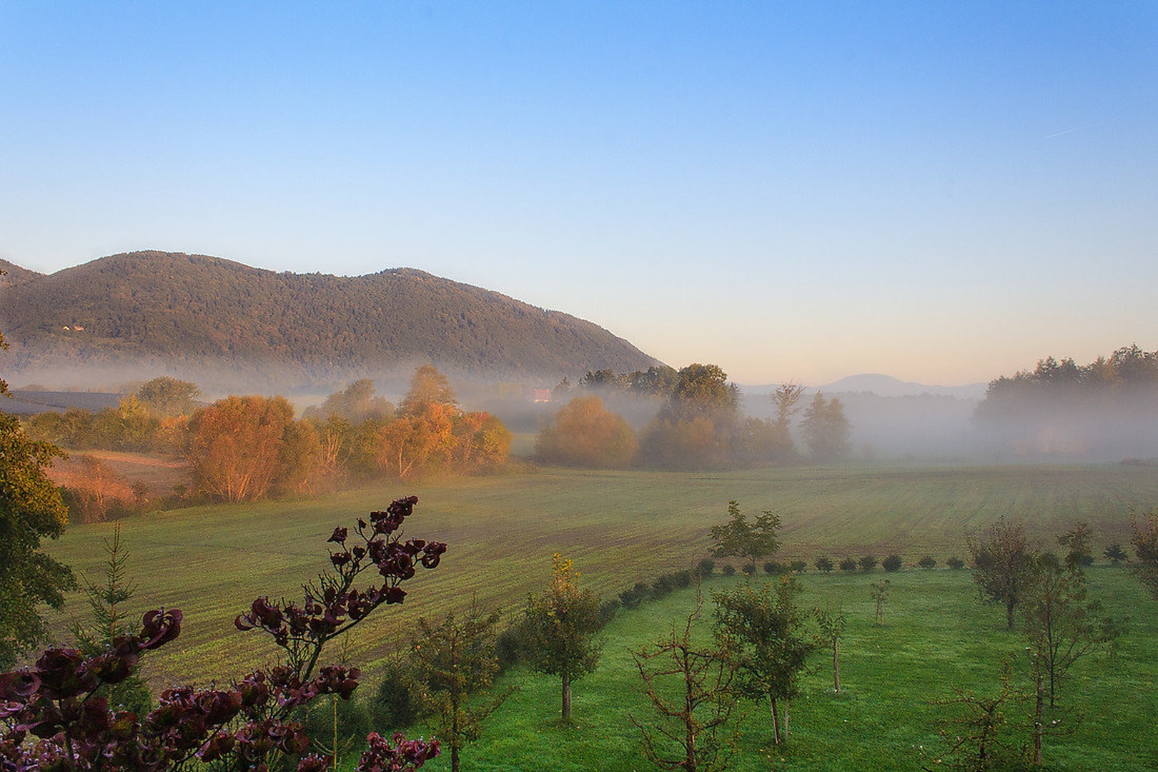 Megleno jutro by Žiga Plahutar