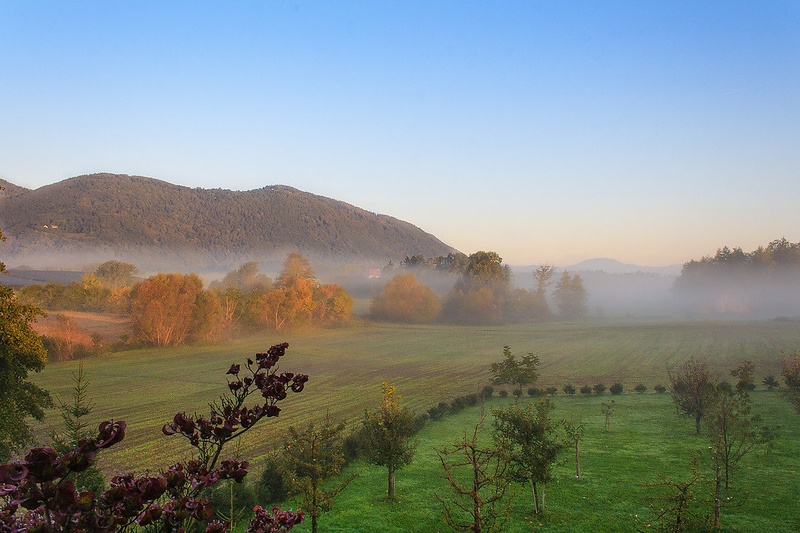 Megleno jutro by Žiga Plahutar