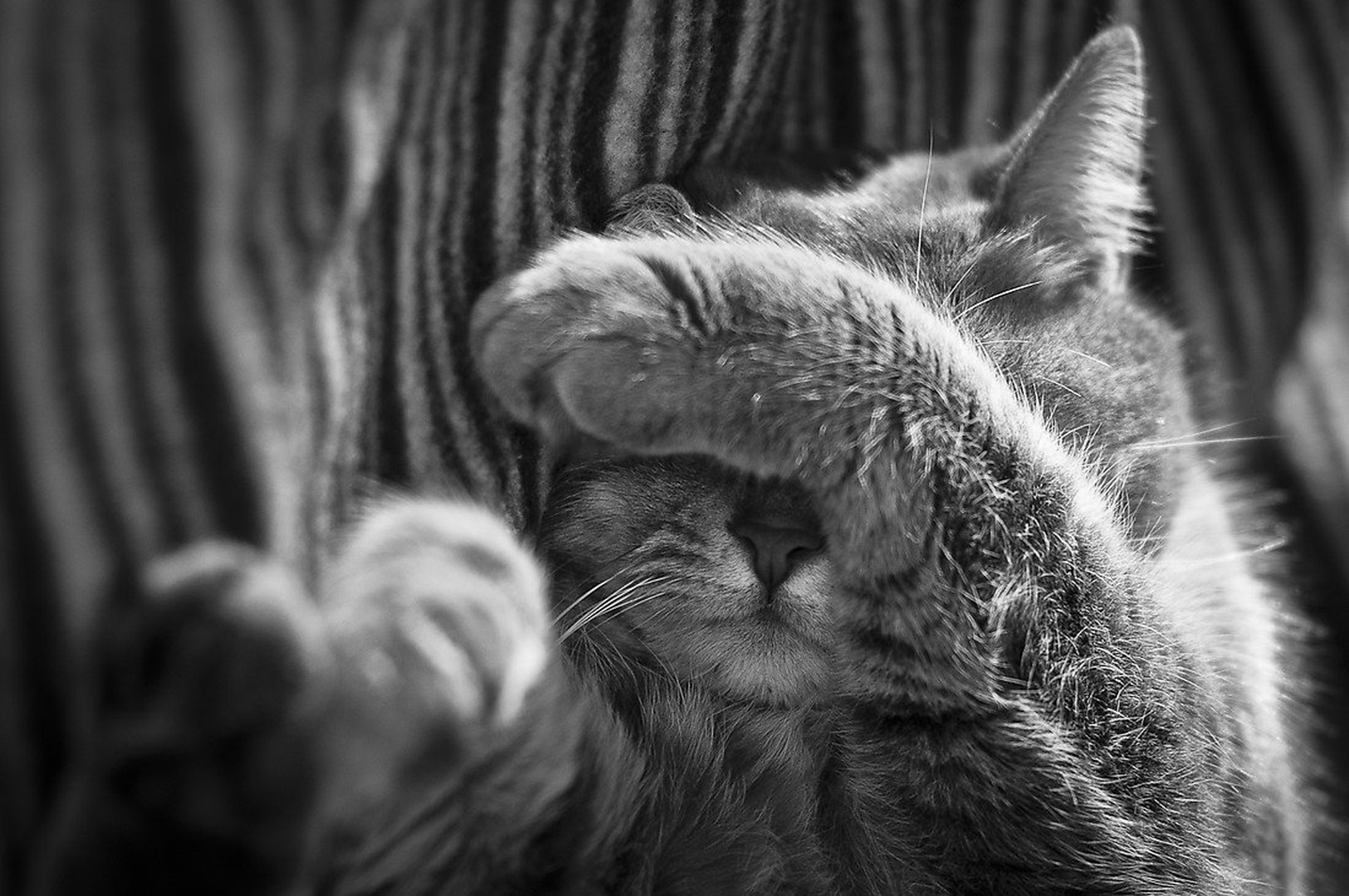 Pusti me spati :) by Aljaz Vidmar