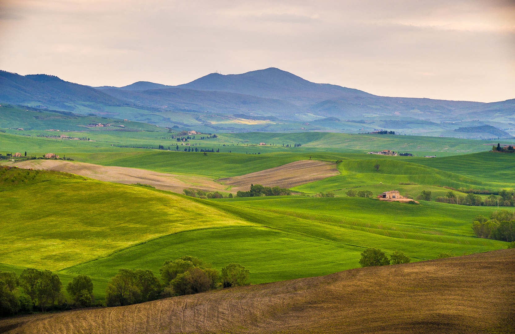 Val D'Orcia, Toskana by Aljaz Vidmar