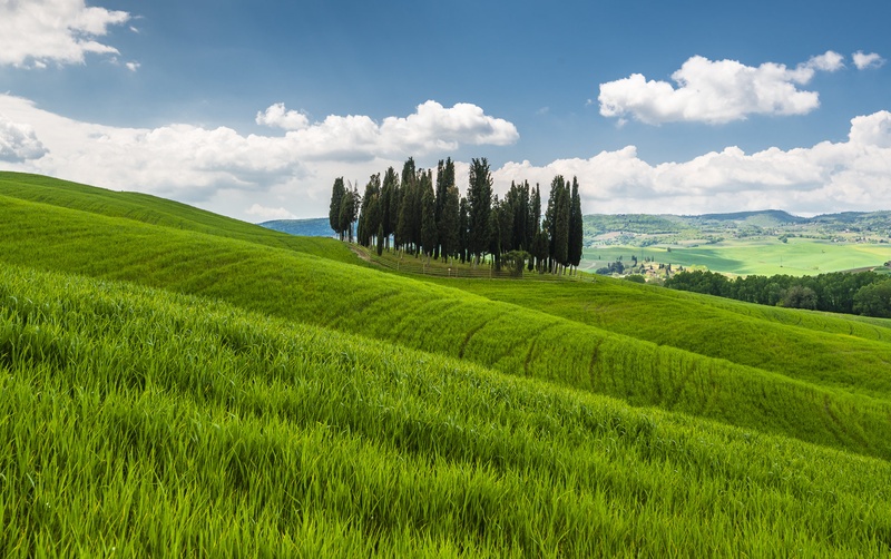 Samotne ciprese by Aljaz Vidmar