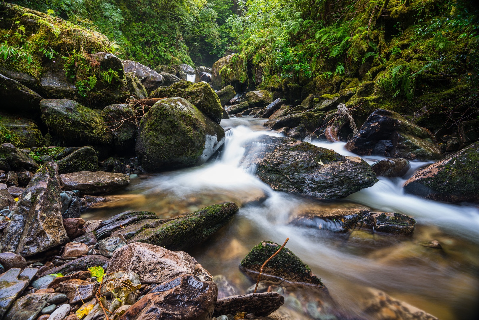 Irska / Torc waterfall by Aljaz Vidmar