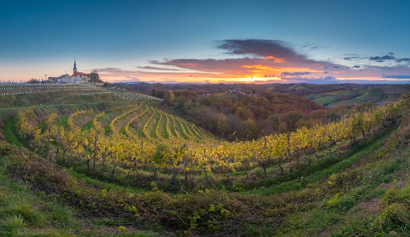 Sončni zahod med vinogradi by Aljaz Vidmar