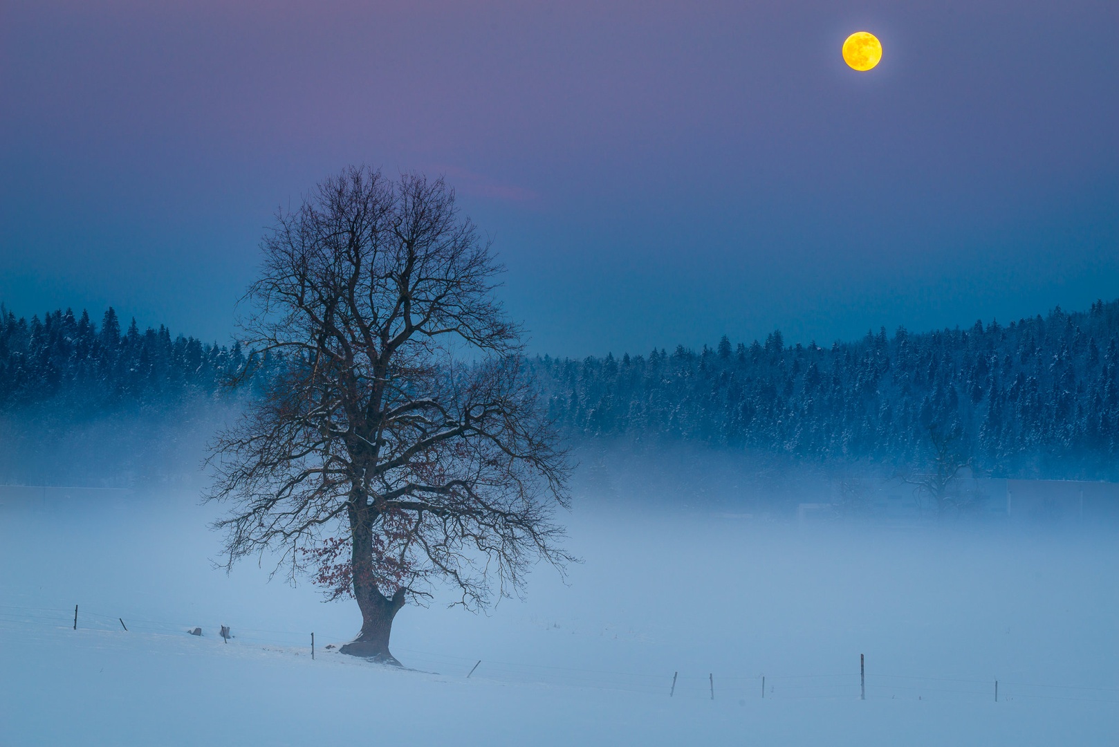 Polna luna by Aljaz Vidmar