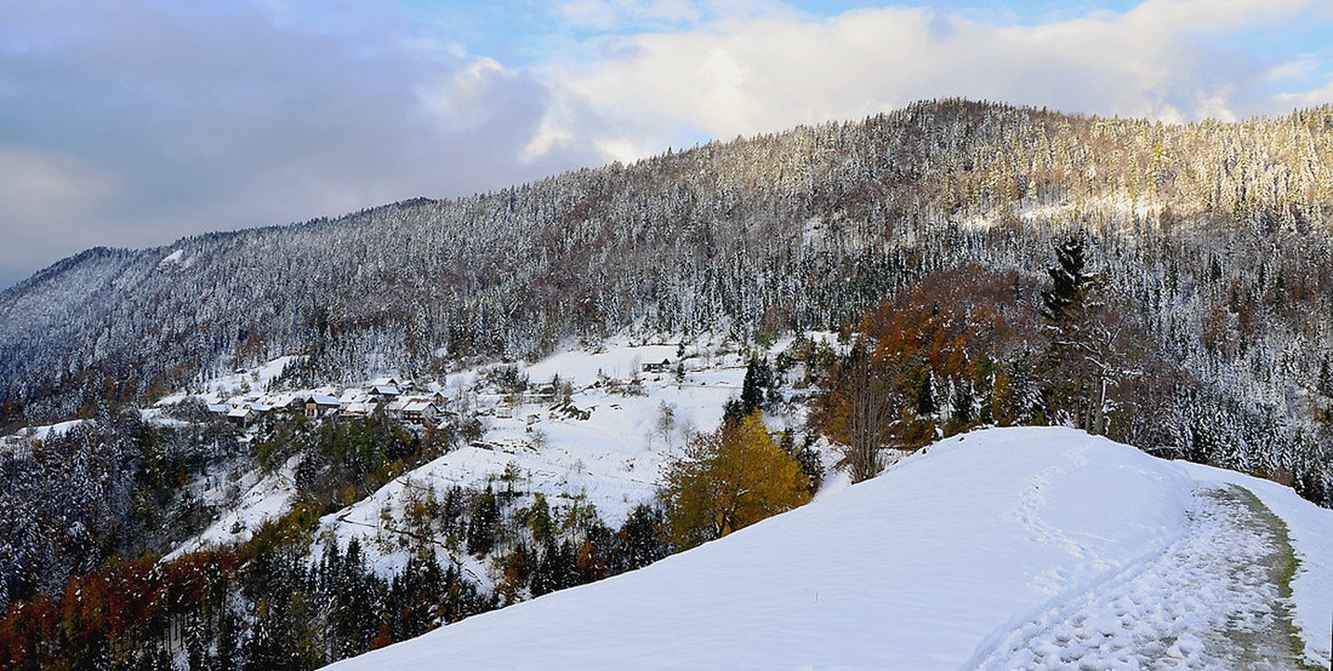 Gorska vasica by Miro Ažman