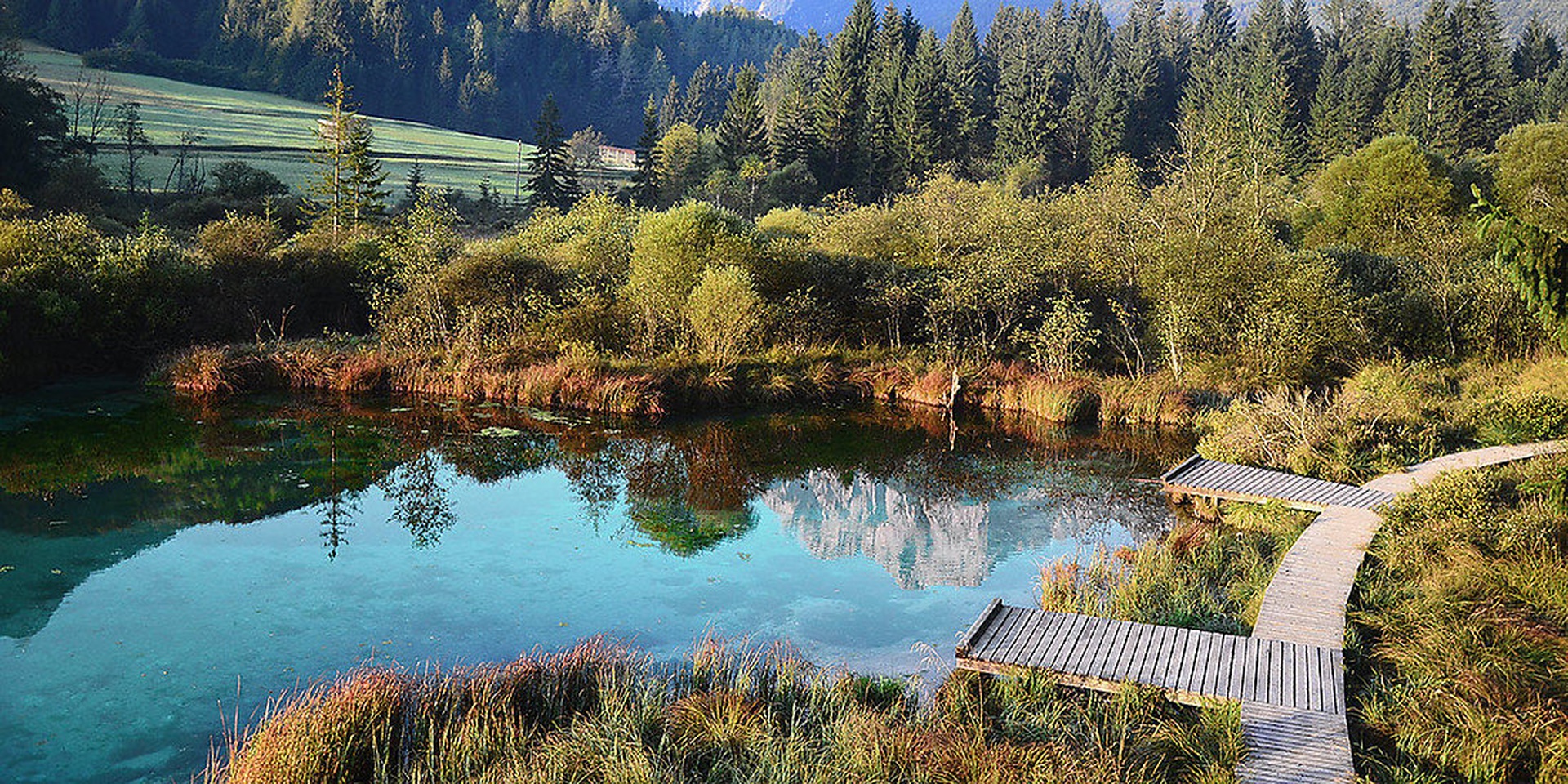 Zelenci po moje ... by Miro Ažman
