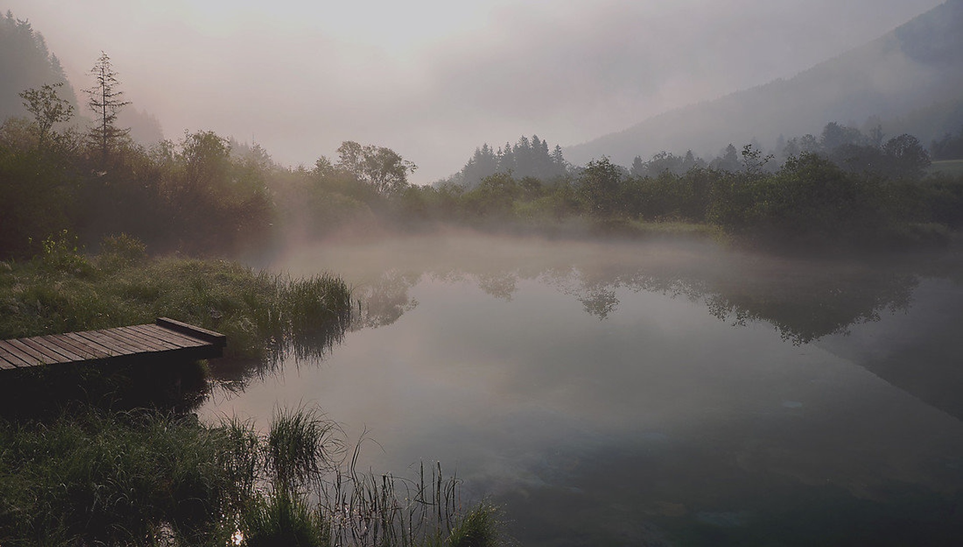 Zelenci po moje 2 by Miro Ažman