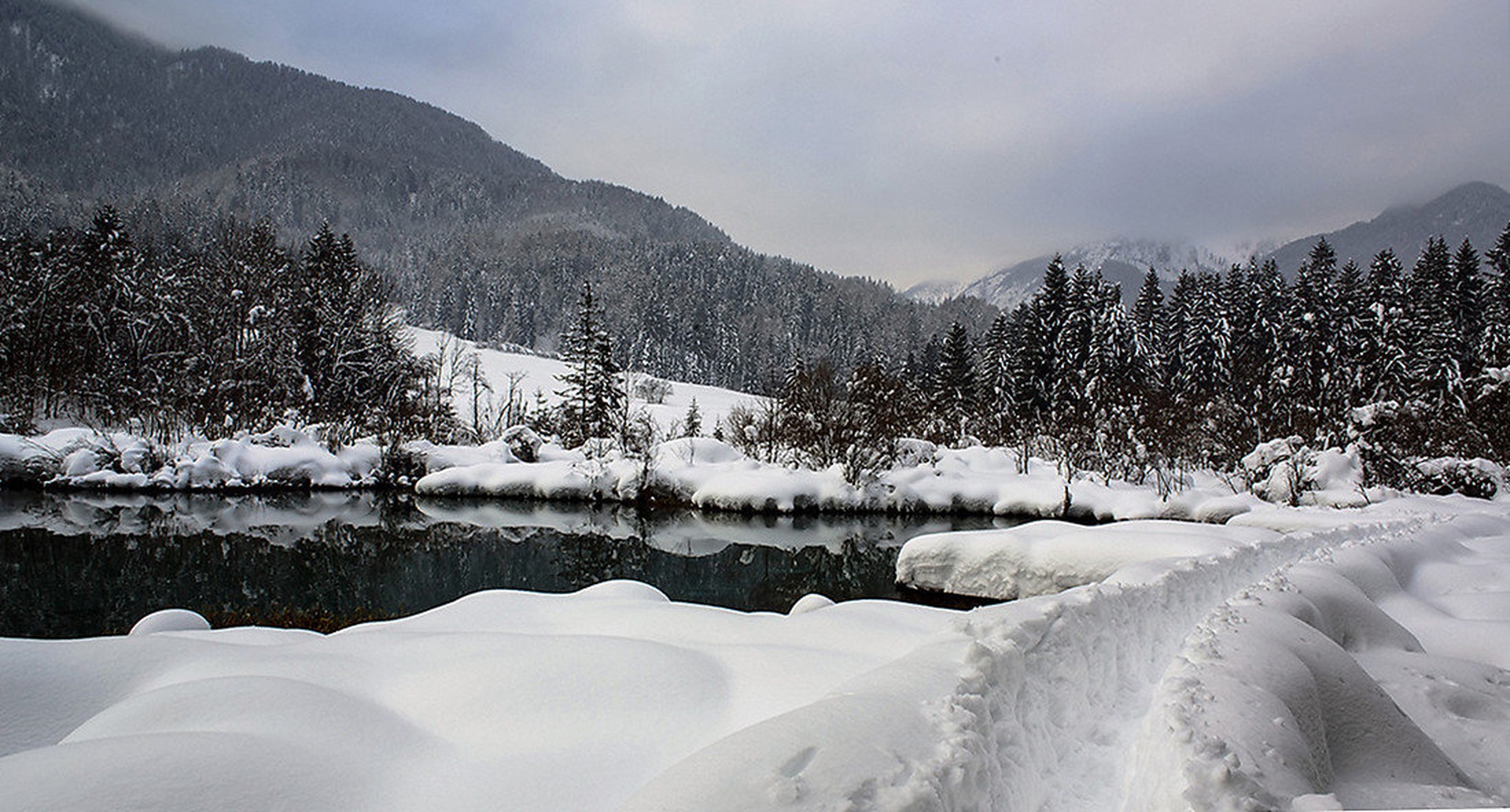 Zasneženi Zelenci by Miro Ažman
