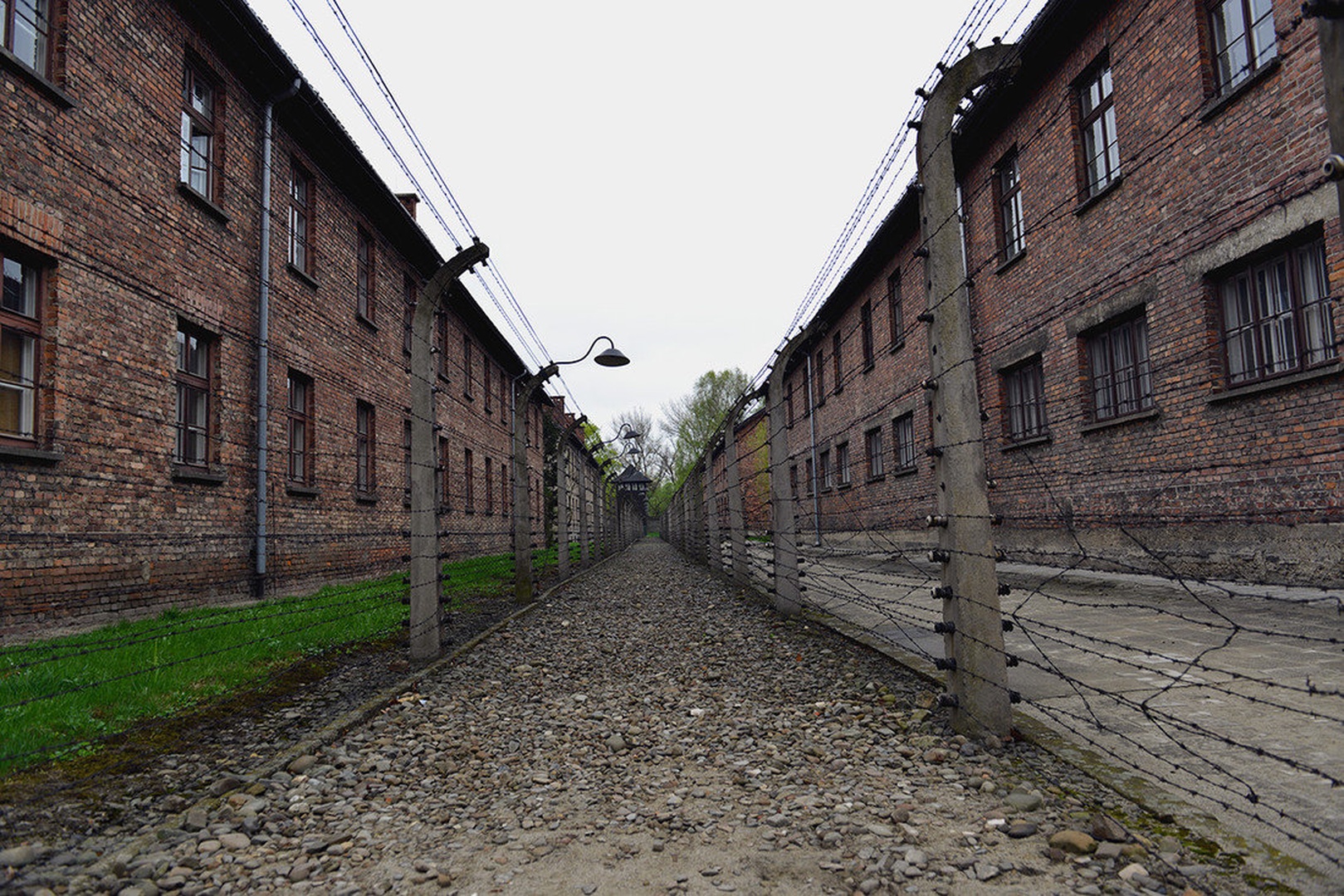 Auschwitz by Miro Ažman