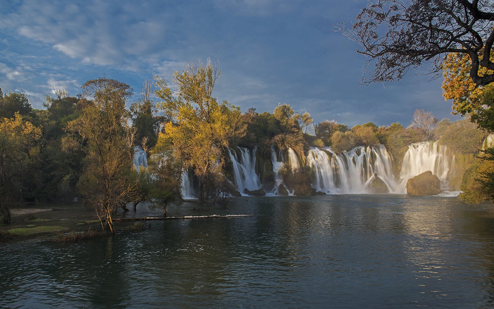 Kravice zjutraj by Miro Ažman