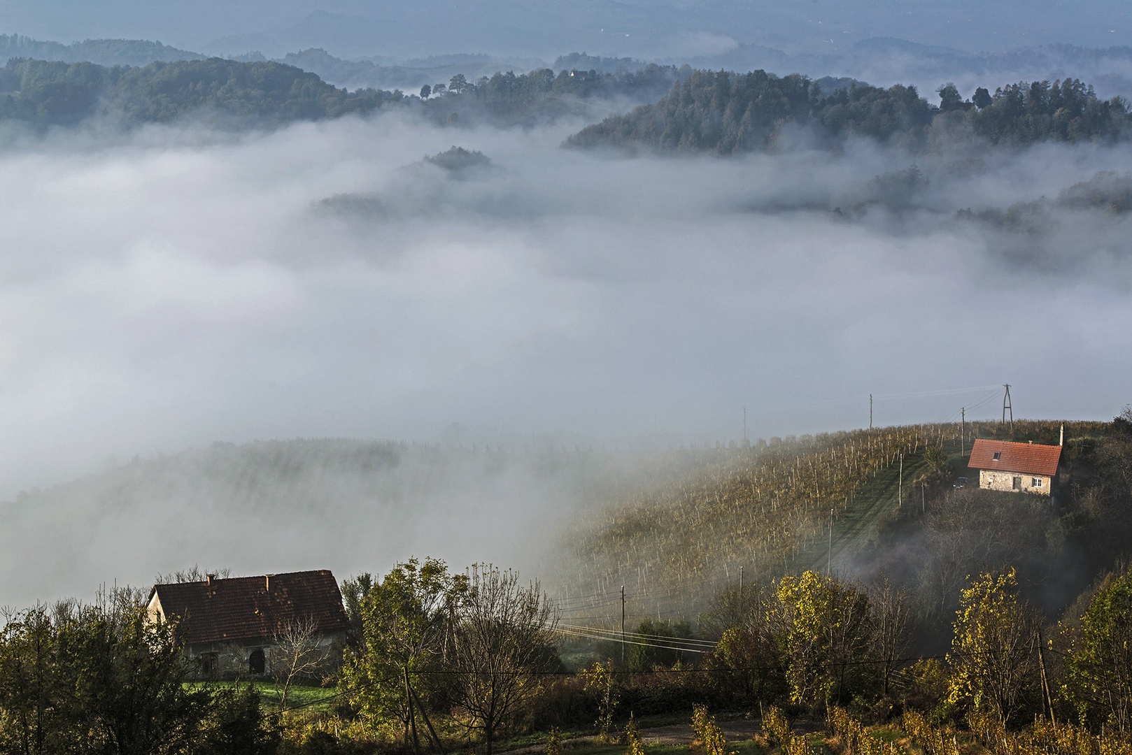 Meglene gorice by Miro Ažman