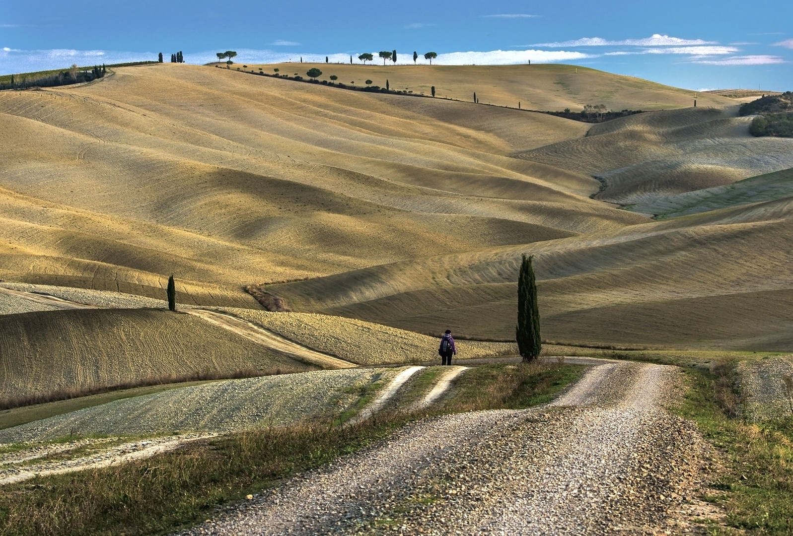 Barvita Toscana by Miro Ažman