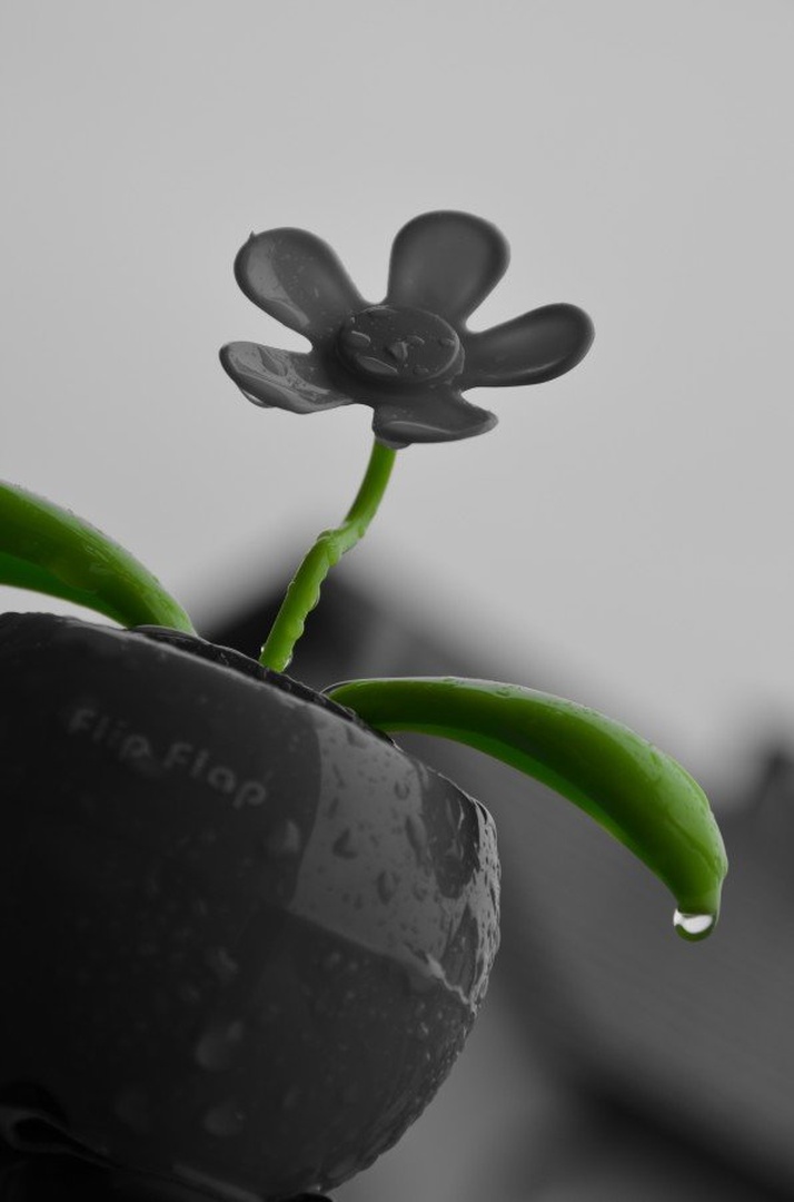 Rainy day... by Jana Jana