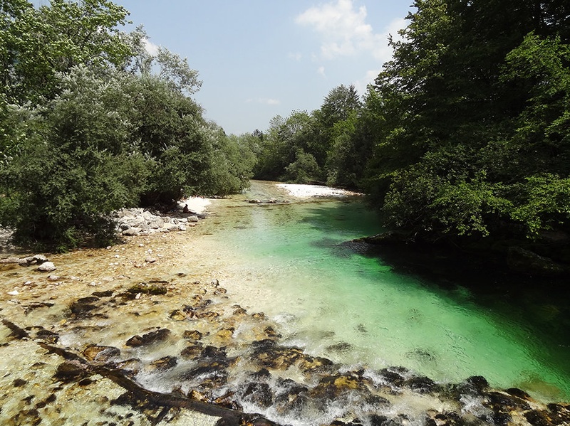 Sava Bohinjka by Nina Dimc