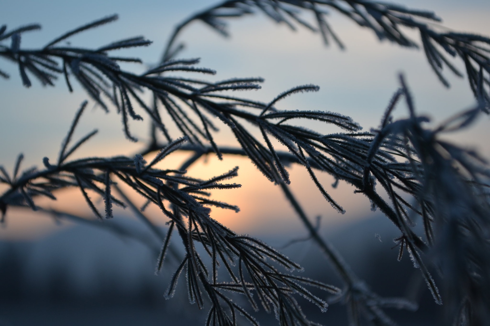 Decembrski sončni vzhod by Anja
