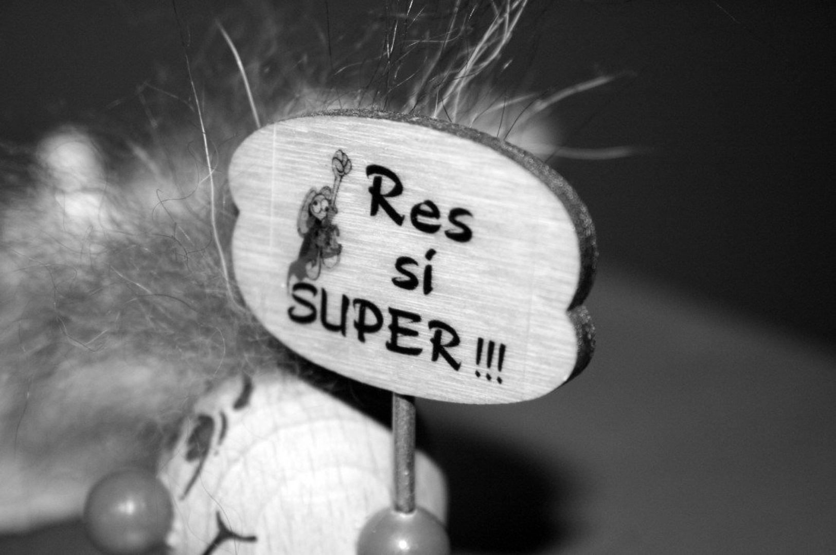 Res si super! by Jan Zupanič