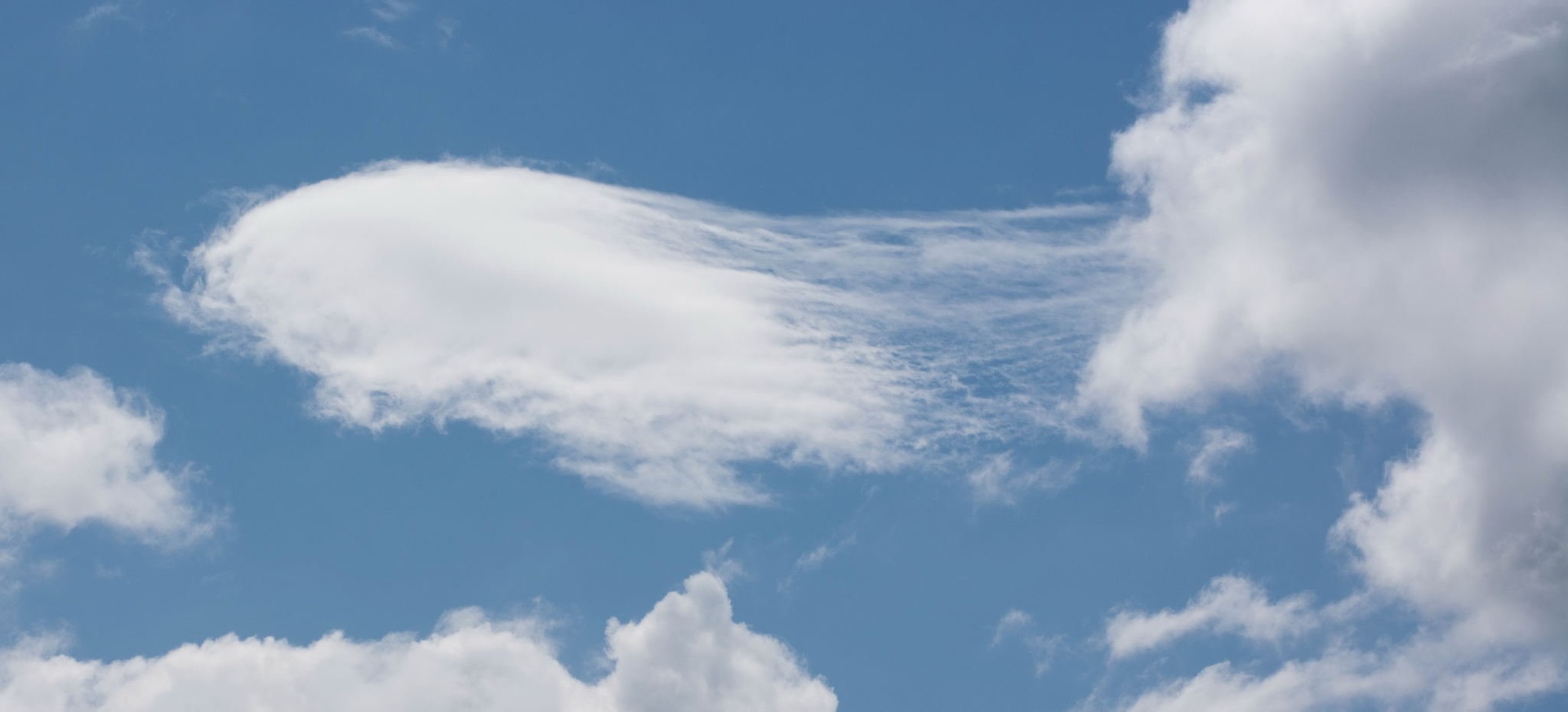 MR. CLOUD by Sandra Košnjek