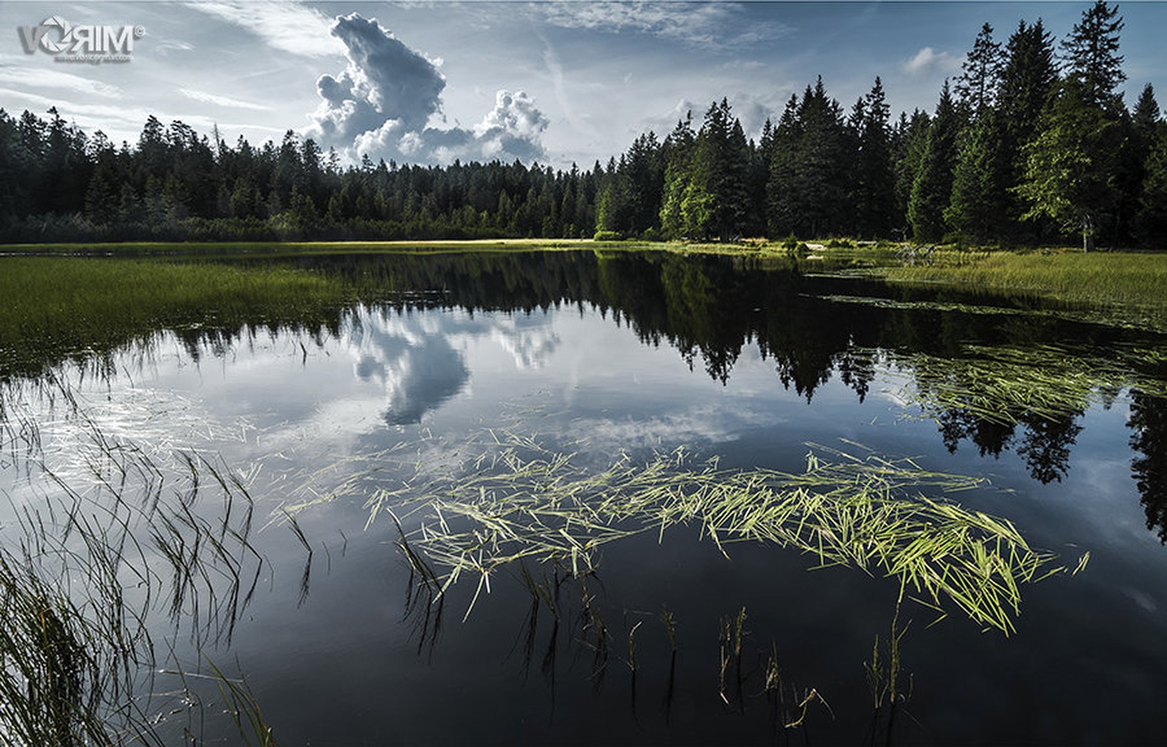 Črno jezero by MiroV